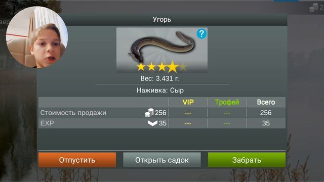 my fishing world выполняя задания +рыбачу