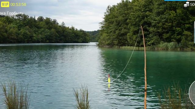 My Fishing World #2 Новая Удочка!