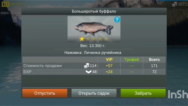 My Fishing World. Большеротый Буффало без прилова.
