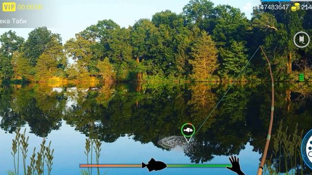 My Fishing World 1 часть *нерка*